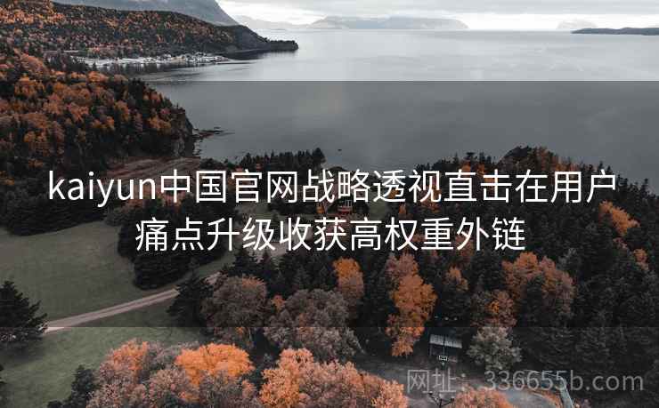 kaiyun中国官网战略透视直击在用户痛点升级收获高权重外链