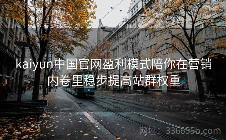 kaiyun中国官网盈利模式陪你在营销内卷里稳步提高站群权重