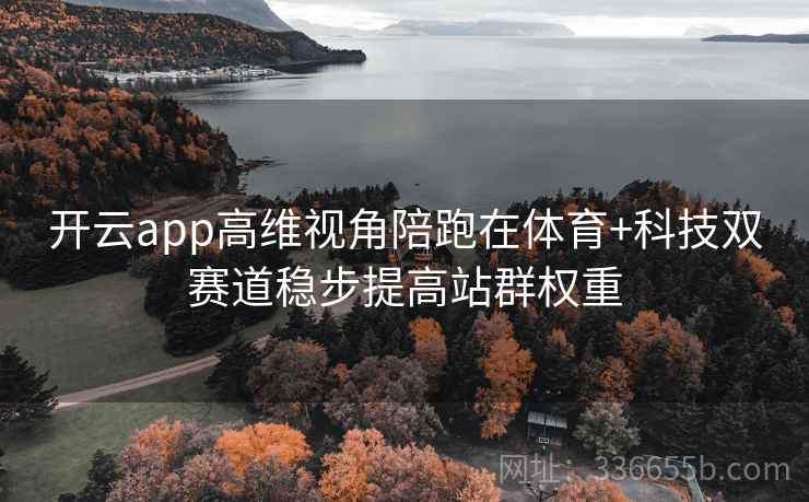 开云app高维视角陪跑在体育+科技双赛道稳步提高站群权重